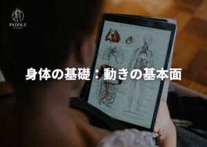 動きの基本面